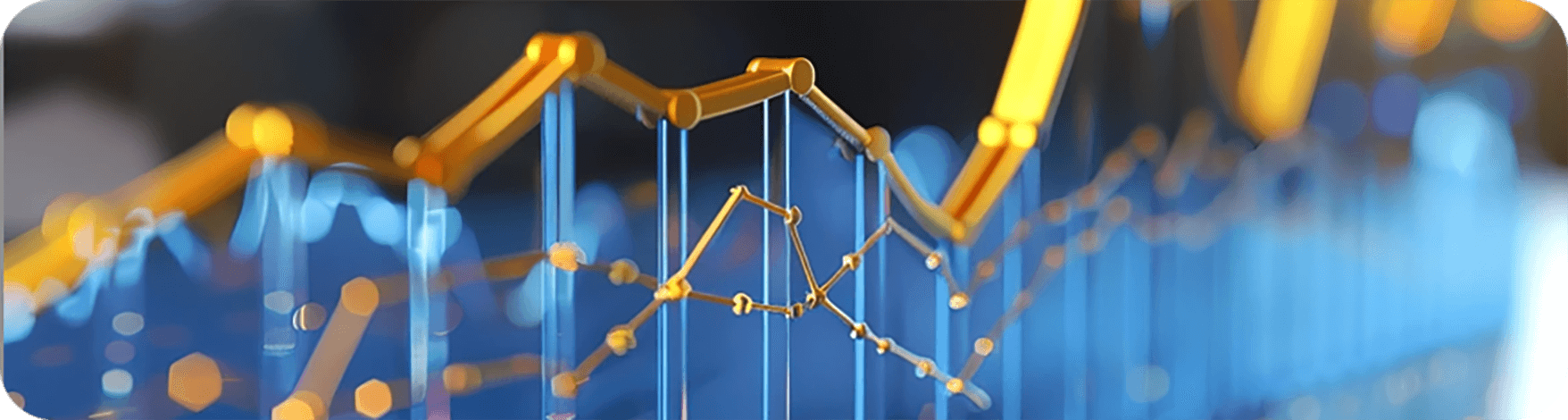 财经教育数据集